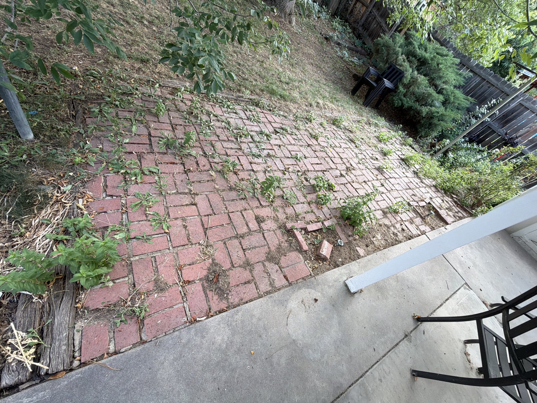Before: weed-covered brick paver patio